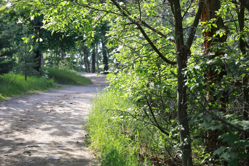 Metsätien polku.